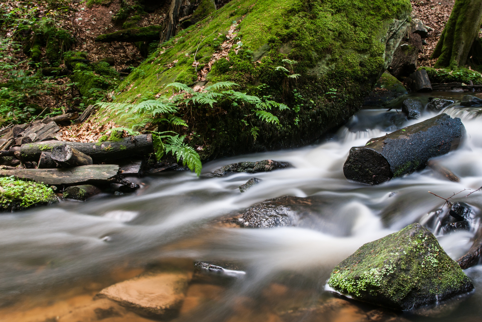 Zauberhafte Karlstalschlucht