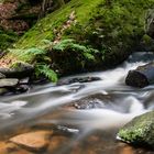 Zauberhafte Karlstalschlucht