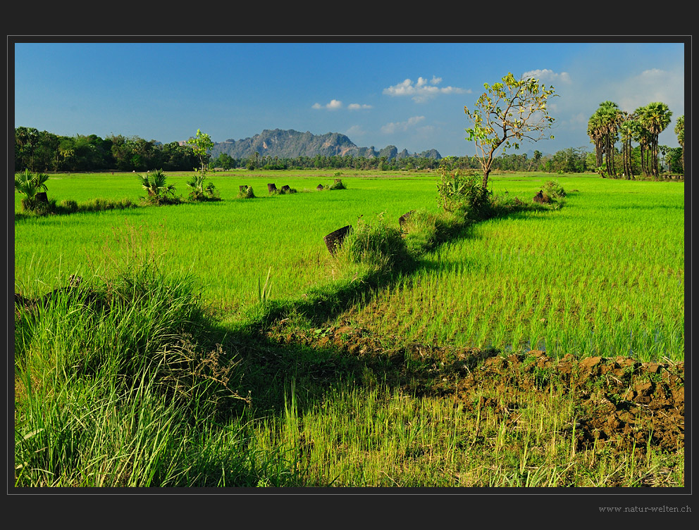 Zauberhafte Landschaft