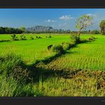 Zauberhafte Landschaft