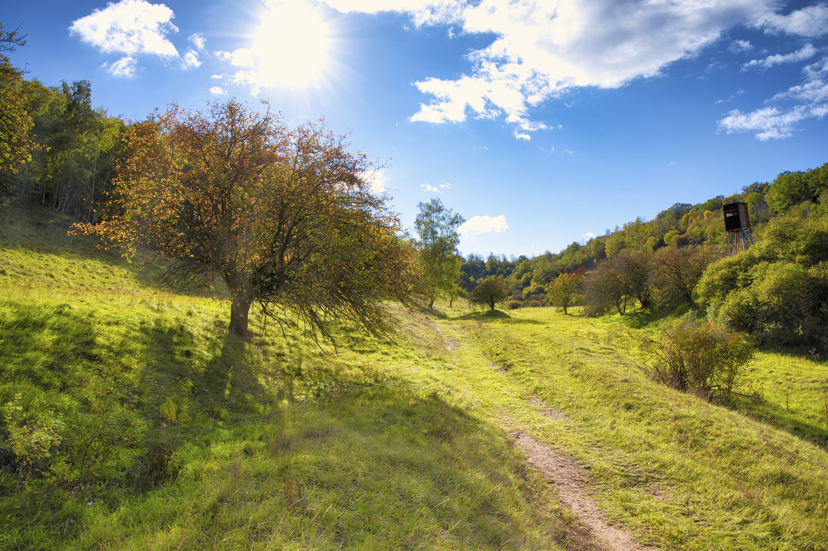 Zauberhafte Landschaft im Herbst