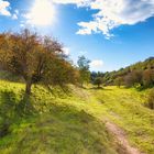 Zauberhafte Landschaft im Herbst