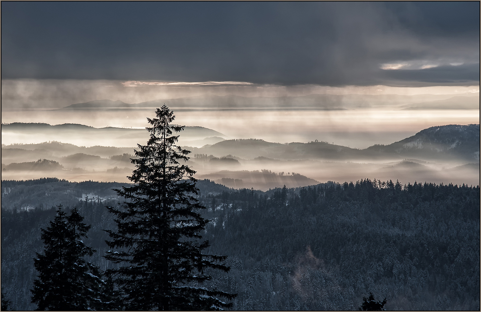 Zauberhafte Natur. Foto & Bild  nebelstimmungen, wetter, landschaft 