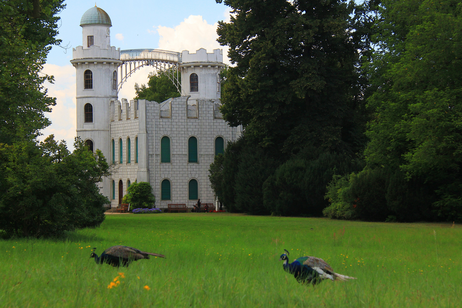 Zauberhafte Pfaueninsel