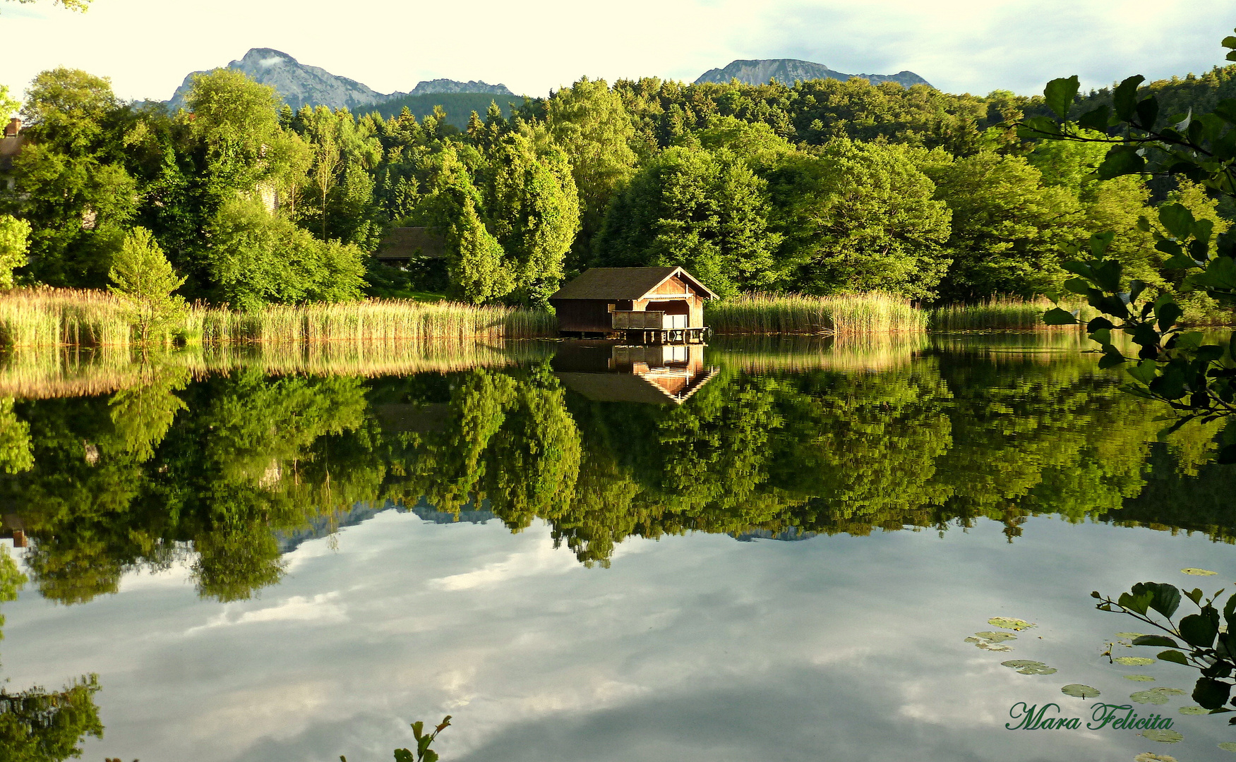 ZAUBERHAFTE SPIEGELUNG