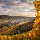 Zauberhafte Weinberge