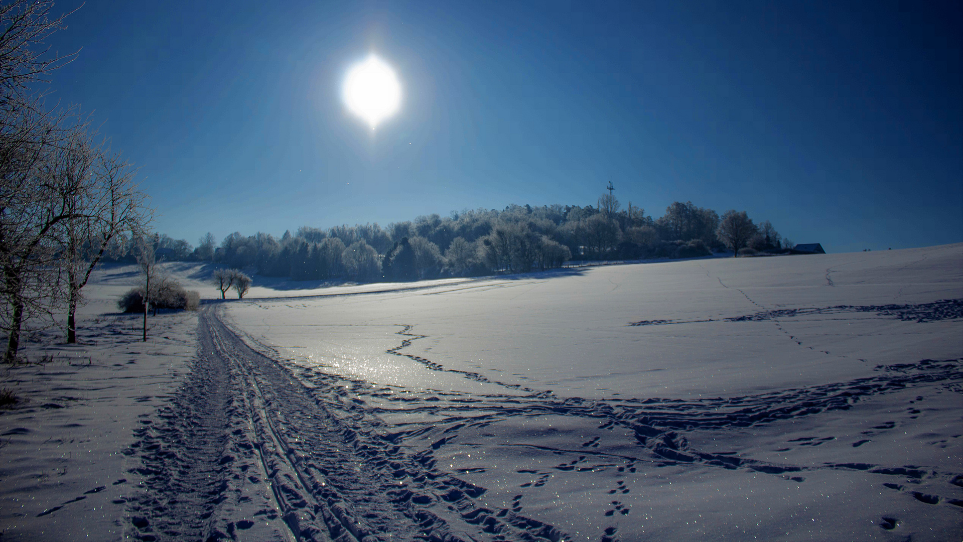 Zauberhafte Winterlandschaft (3)