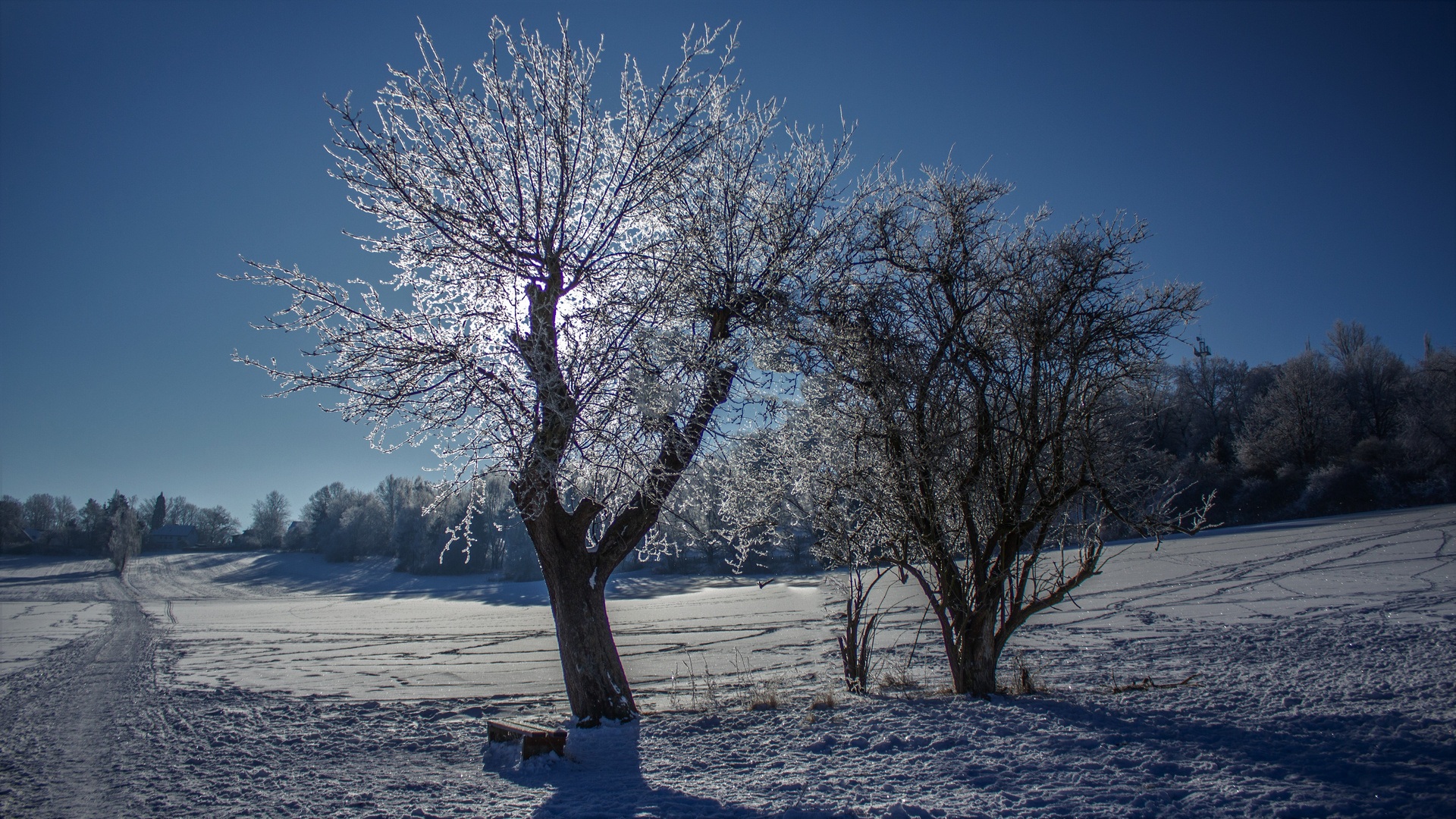 Zauberhafte Winterlandschaft (4)