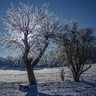 Zauberhafte Winterlandschaft (4)