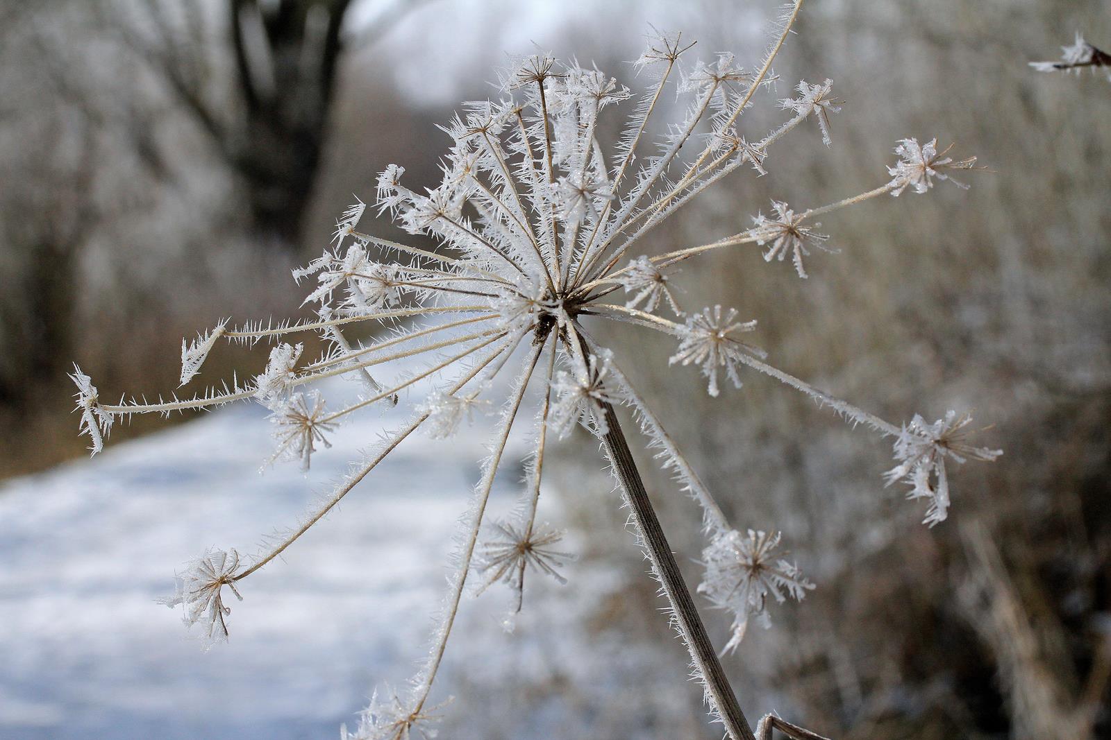 zauberhafte winterstimmung