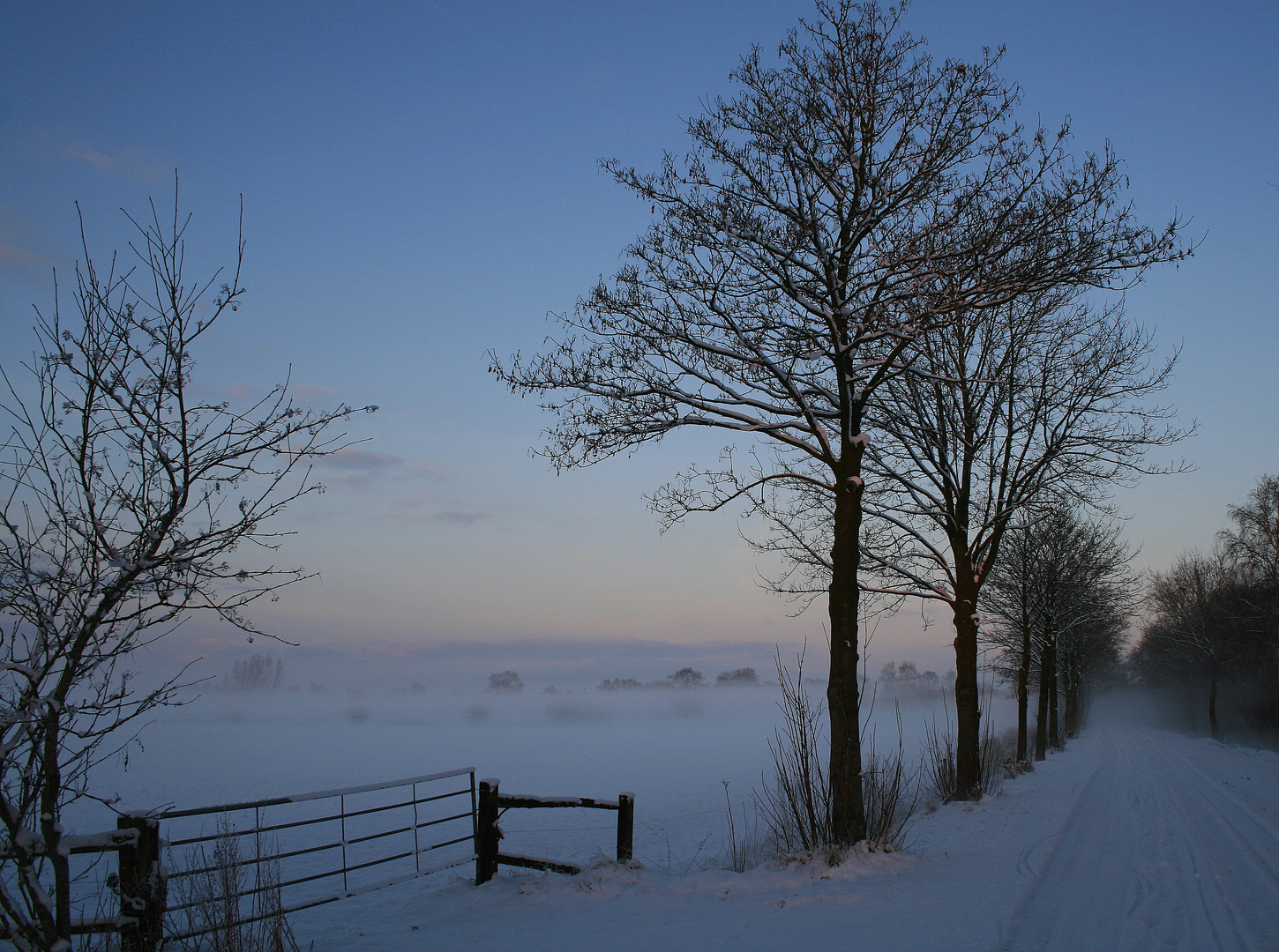 Zauberhafte Winterwelt