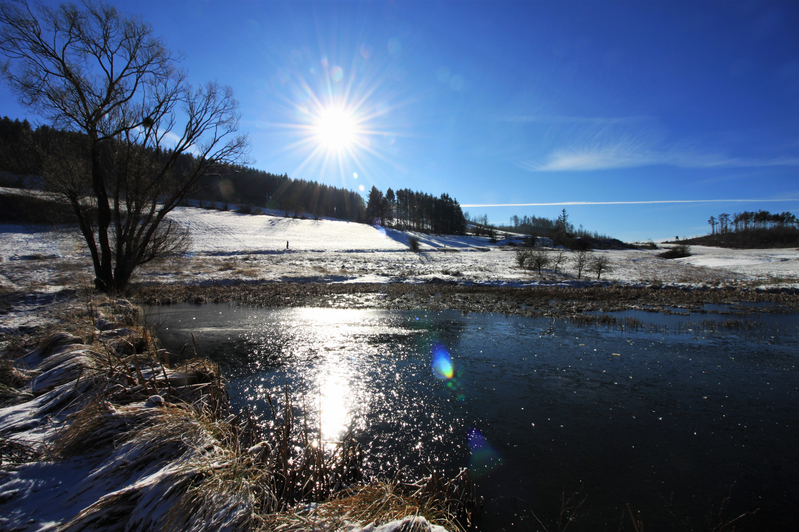 Zauberhafte Winterwelt bei Goslar