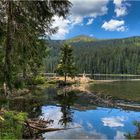 Zauberhafter Arbersee