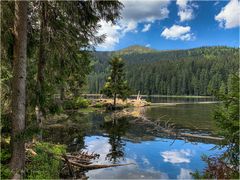 Zauberhafter Arbersee