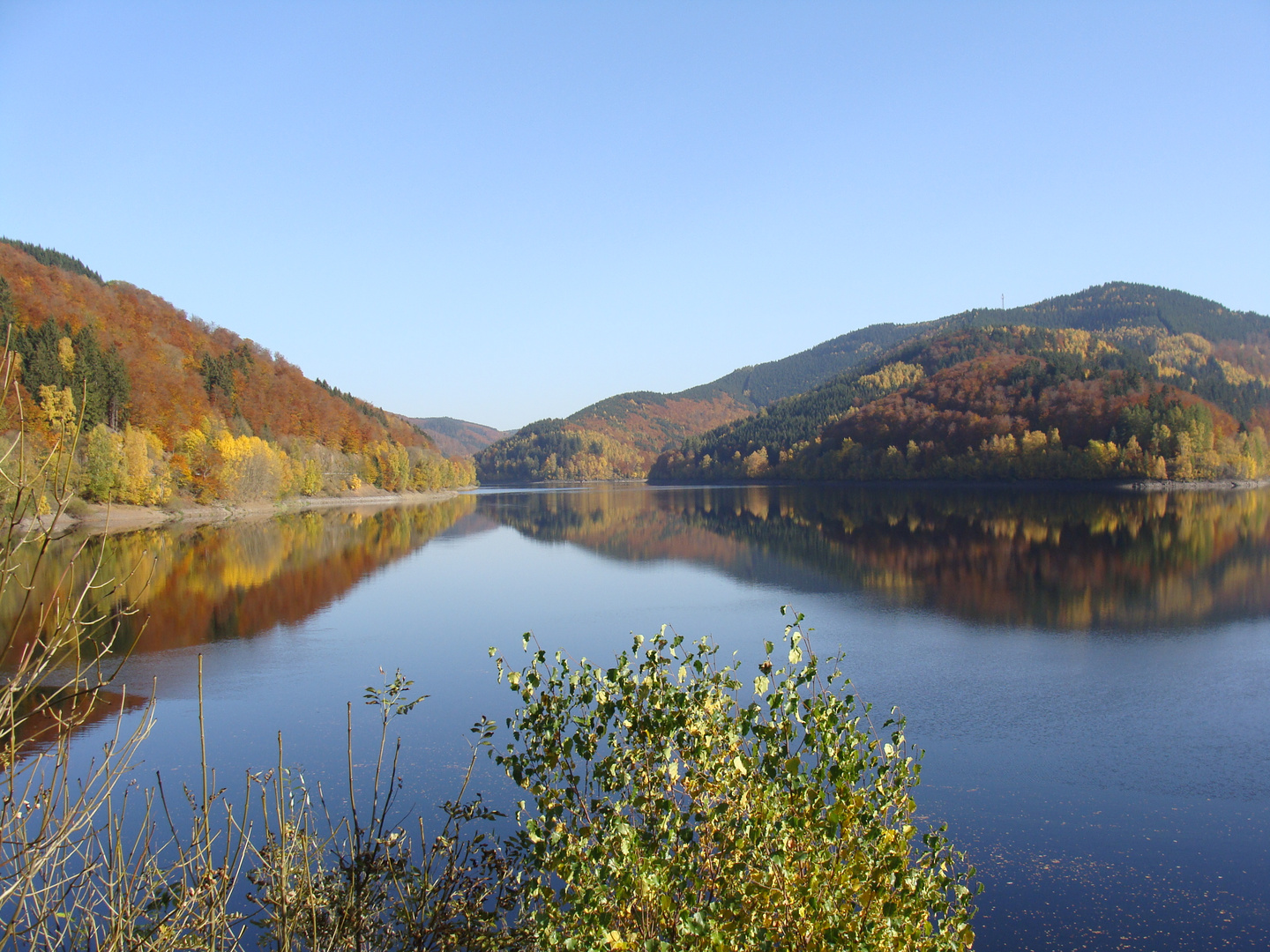 Zauberhafter Harz im Herbst