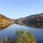 Zauberhafter Harz im Herbst