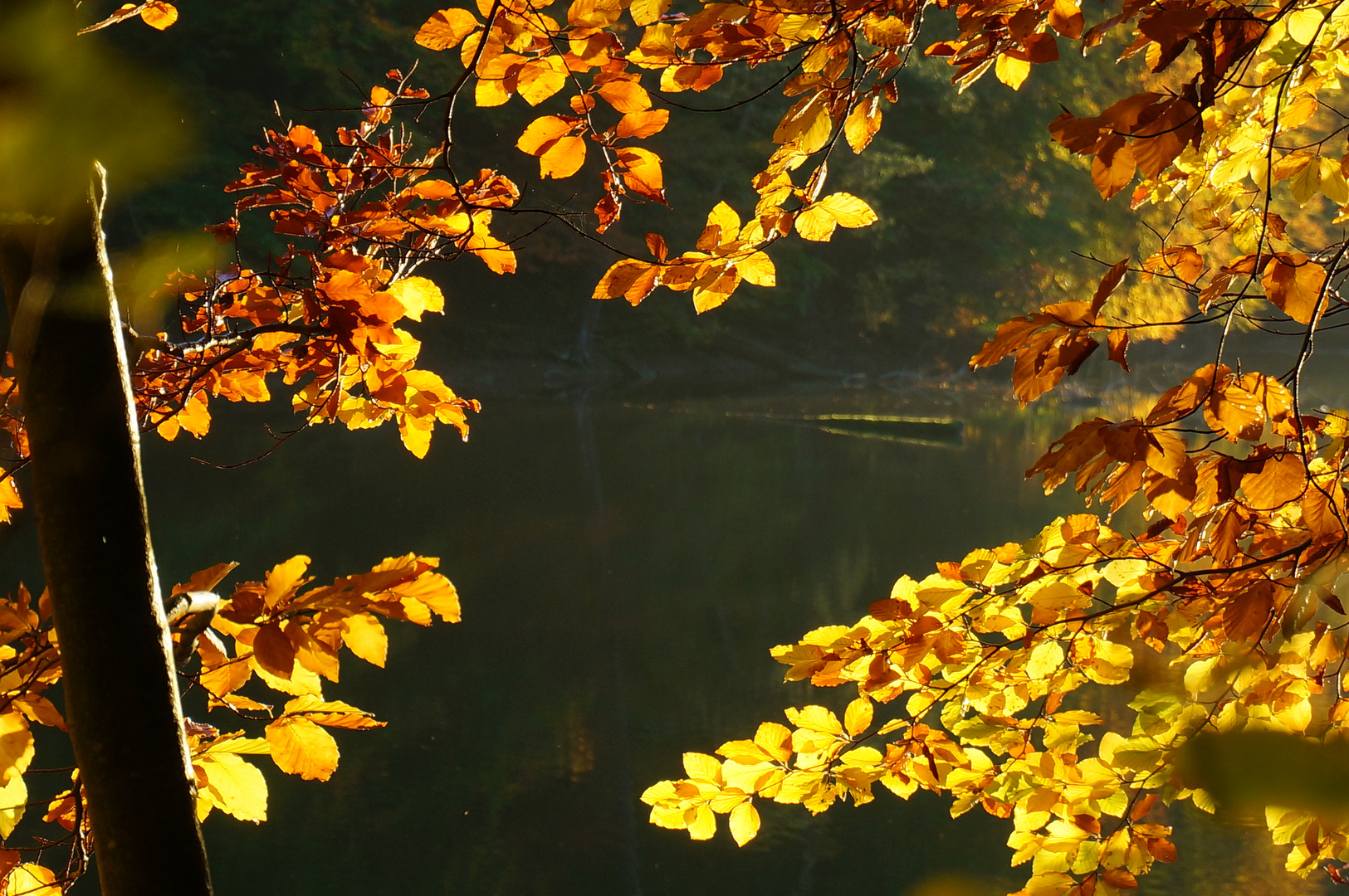 Zauberhafter Herbst