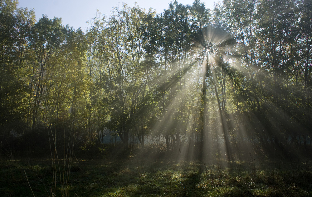 *** zauberhafter Herbst ***