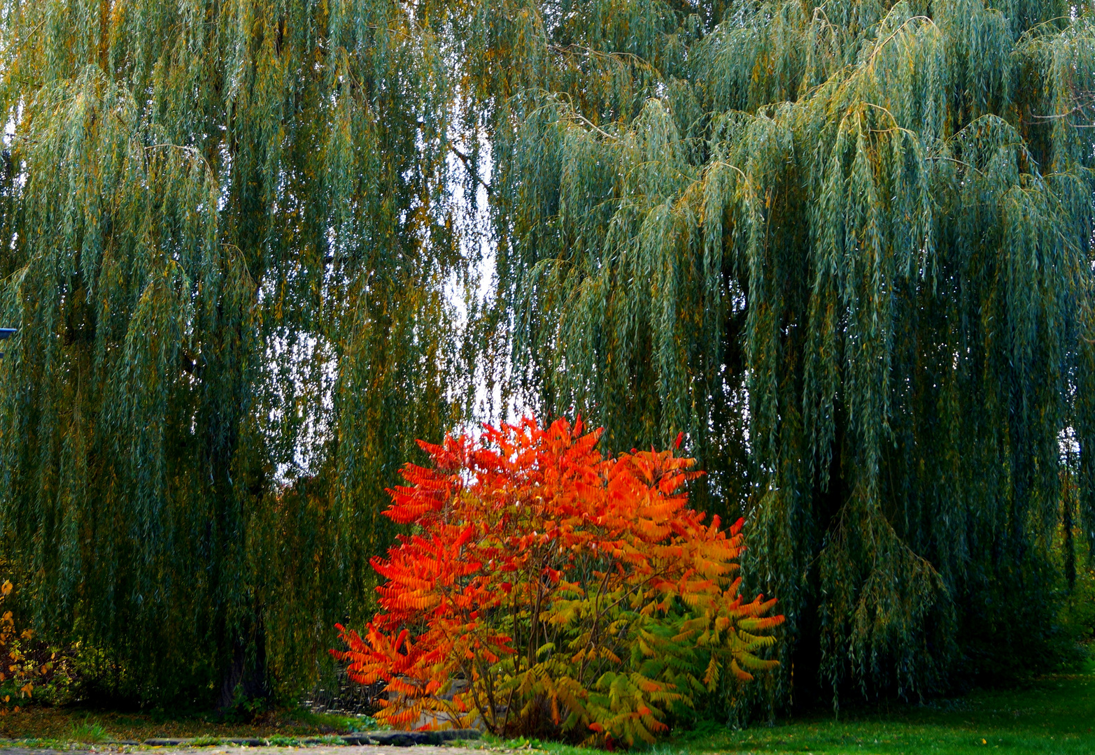 Zauberhafter Herbst