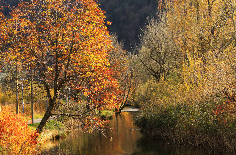 Zauberhafter Herbst