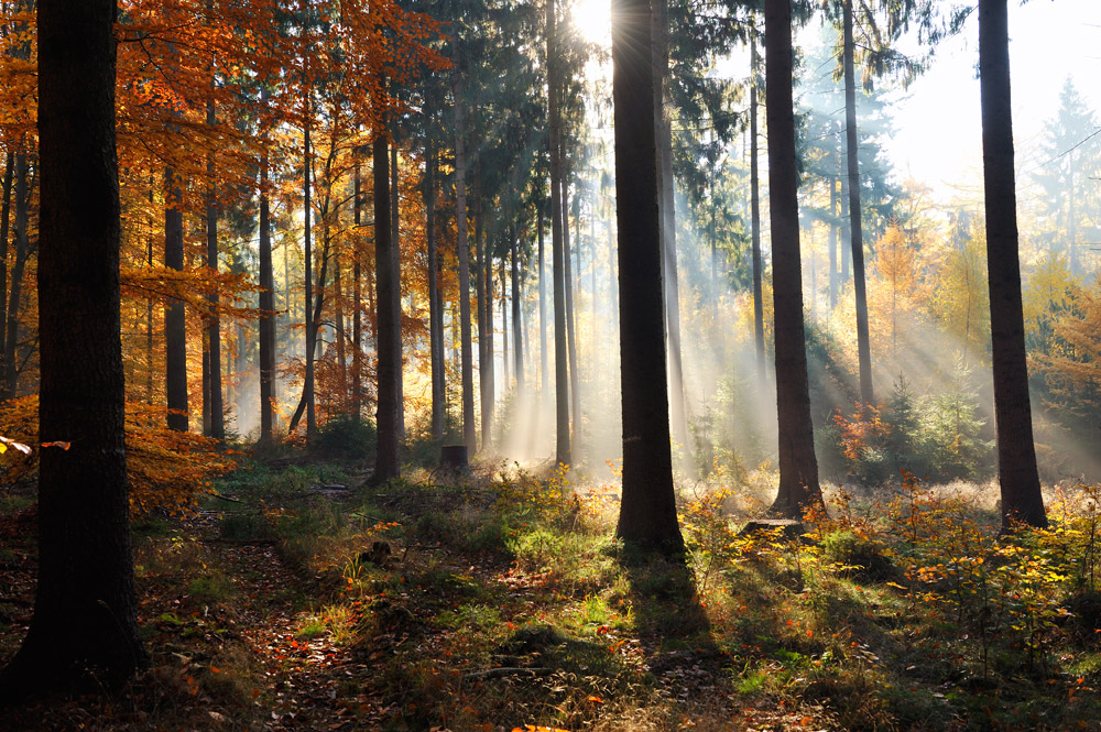 Zauberhafter Herbst