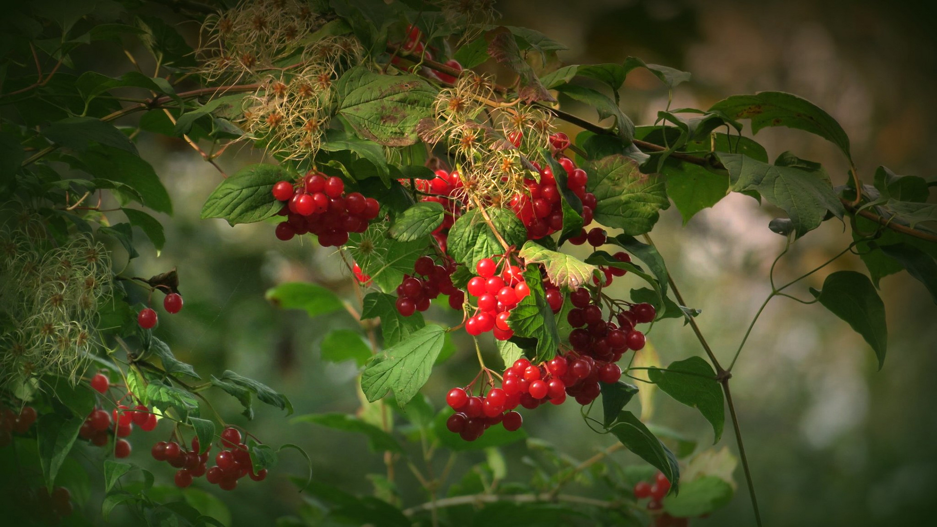 Zauberhafter Herbst