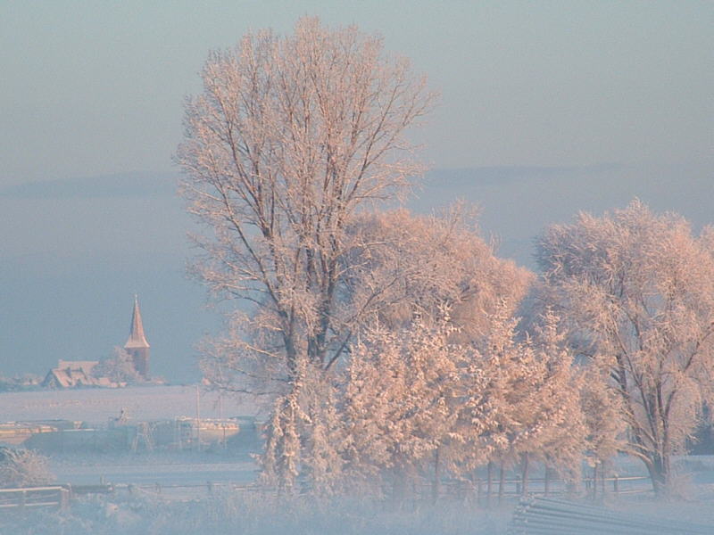 *** zauberhafter Morgen ***