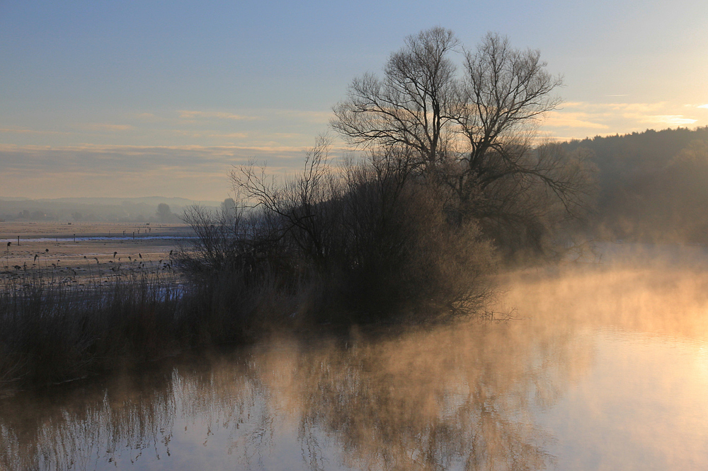 Zauberhafter Morgen