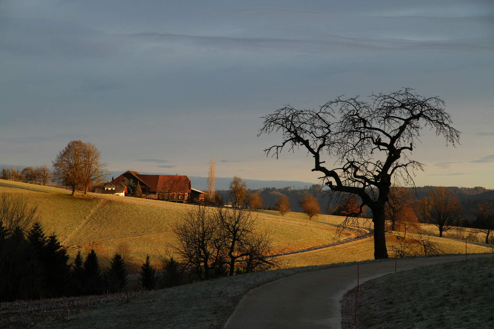 zauberhafter Morgen