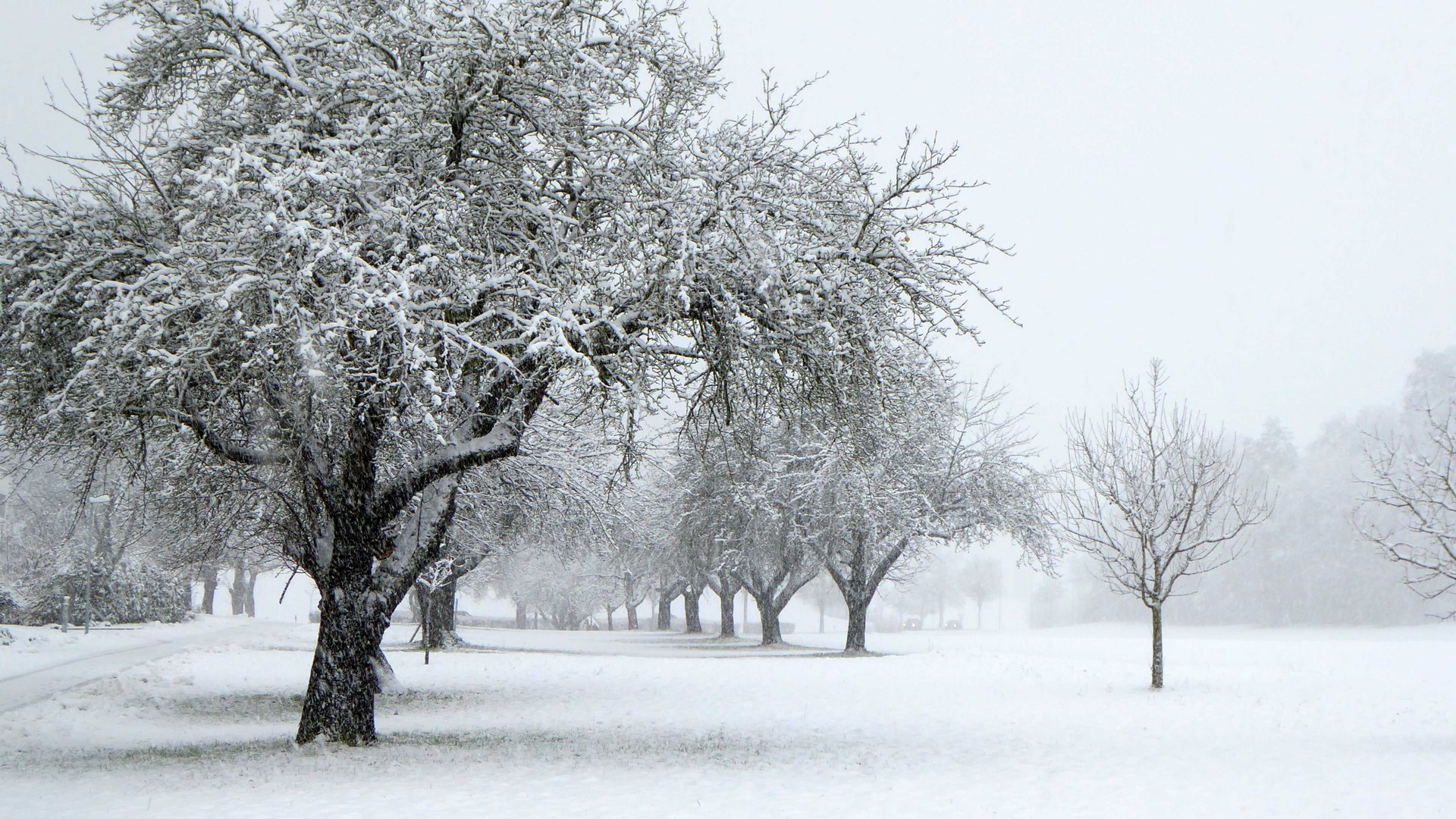 Zauberhafter Schnee