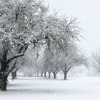 Zauberhafter Schnee