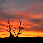 Zauberhafter Sonnenuntergang