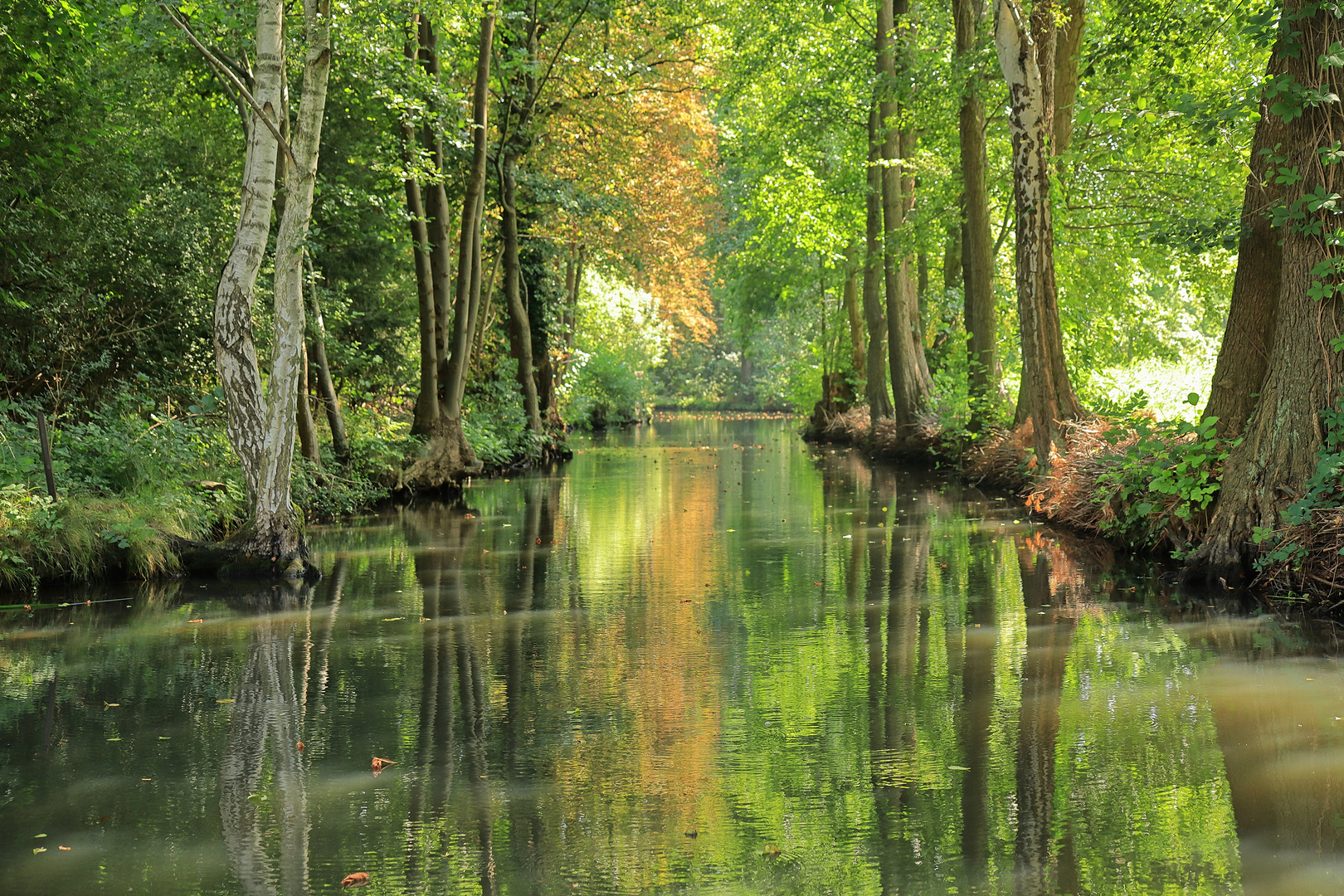 ...Zauberhafter Spreewald...