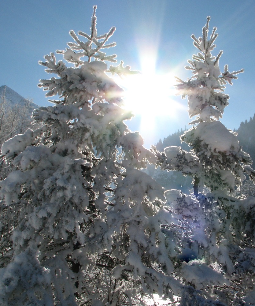 Zauberhafter Wintertag