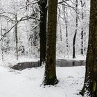 Zauberhafter Winterwald 1