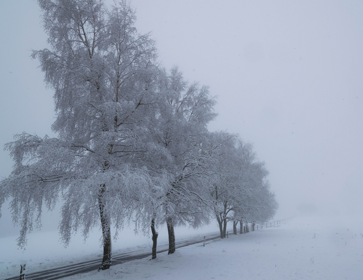 Zauberhafter Winterwald 3