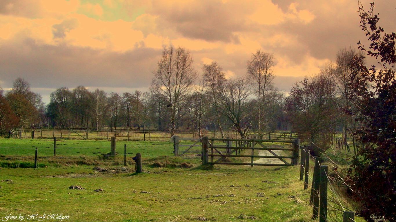 Zauberhaftes Friesland (1 )