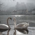 Zauberhaftes Heidelberg