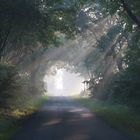 Zauberhaftes Herbstlicht