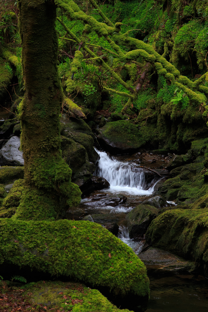 Zauberhaftes Irland