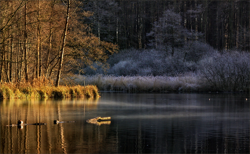 zauberhaftes Licht ...