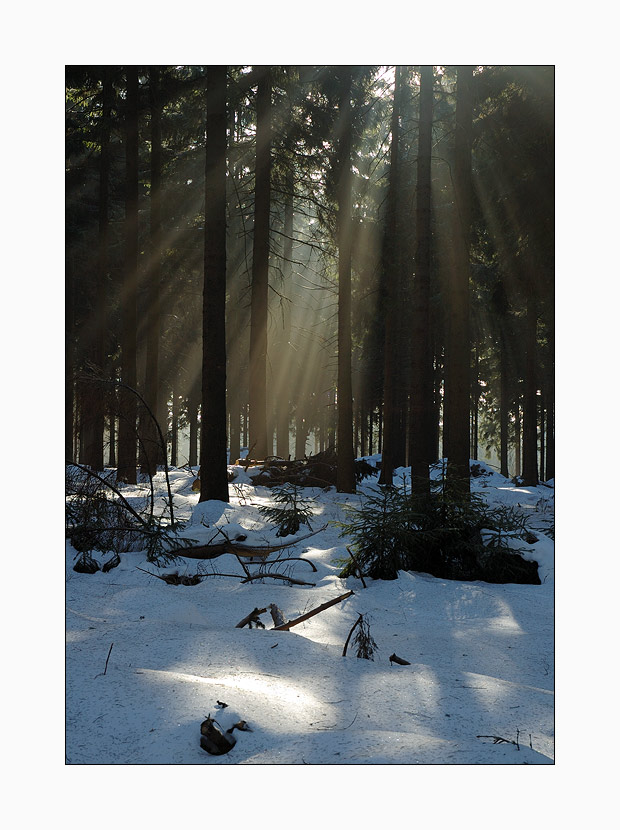 Zauberhaftes Licht