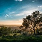 Zauberhaftes Licht über Mallorca