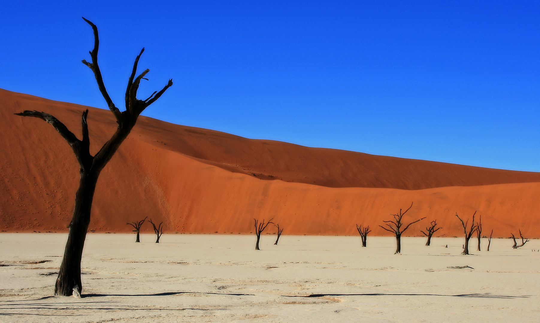 "Zauberhaftes Namibia"