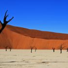 "Zauberhaftes Namibia"
