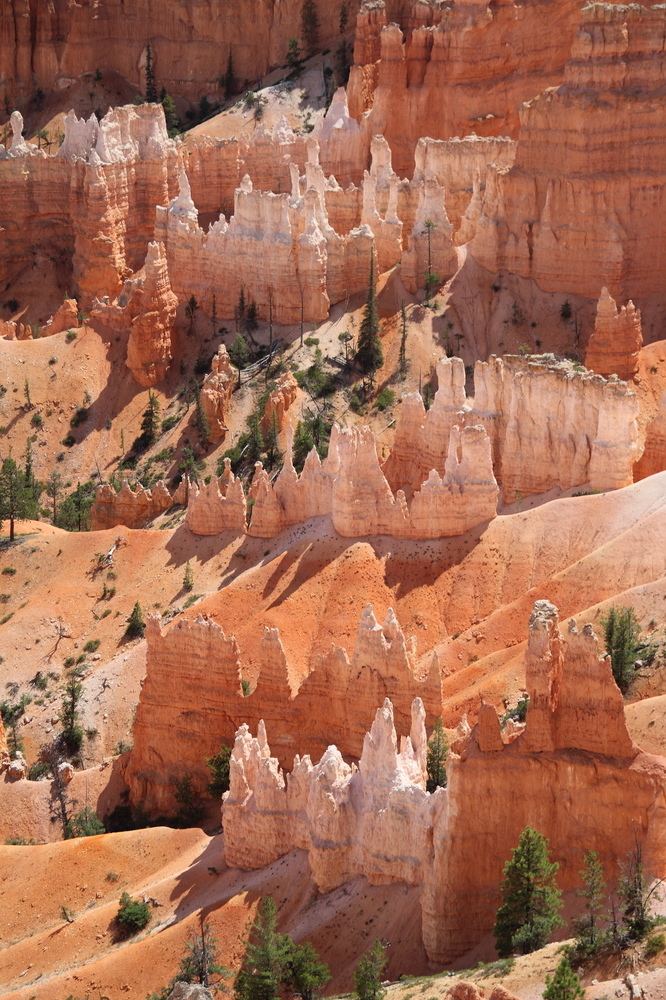 Zauberland Bryce