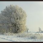 Zauberland Sachsen-Anhalt