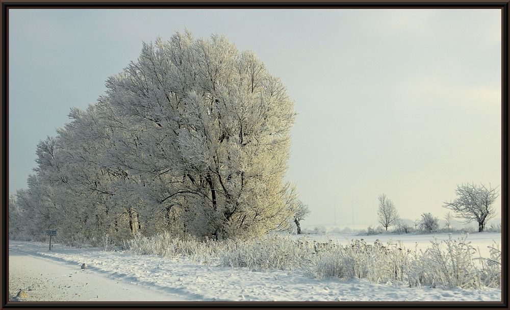 Zauberland Sachsen-Anhalt