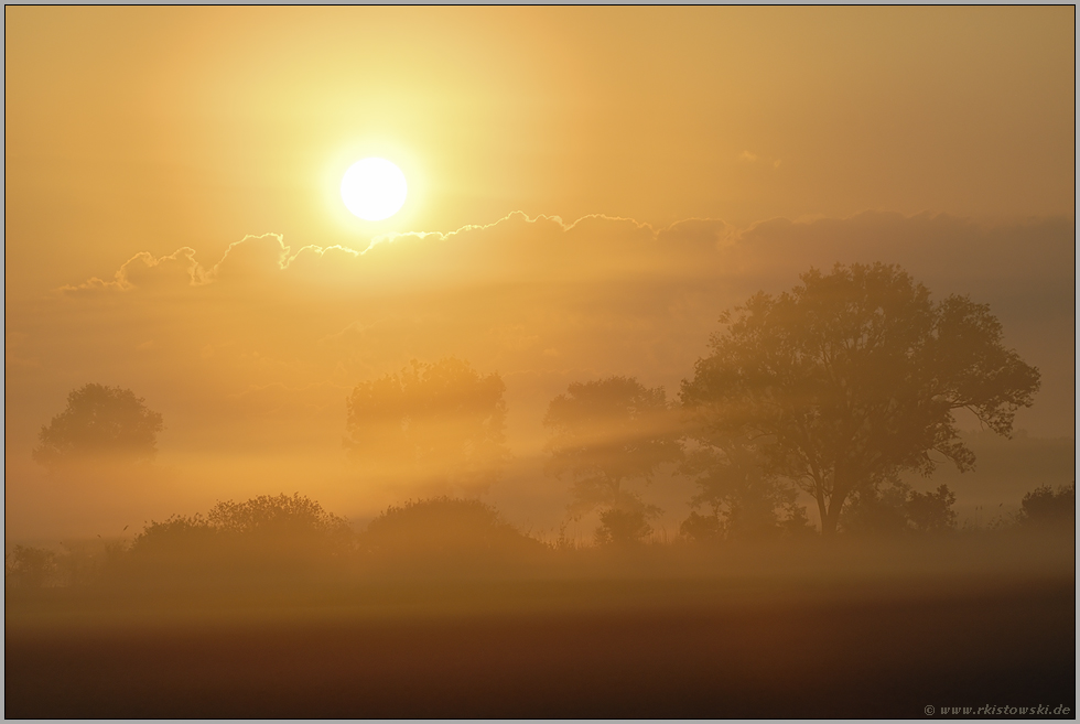 Zauberland... Sonnenaufgang *im Nebel* (13/13)