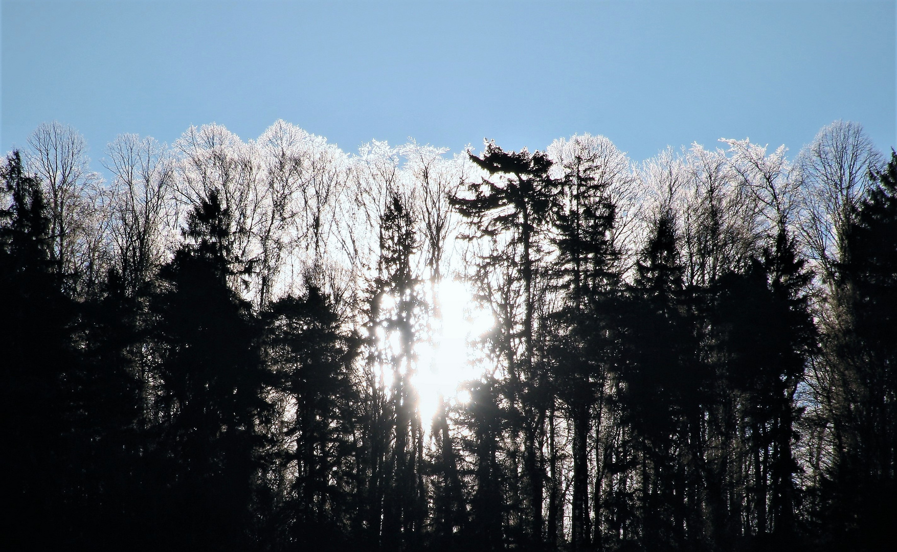 Zauberlandschaft